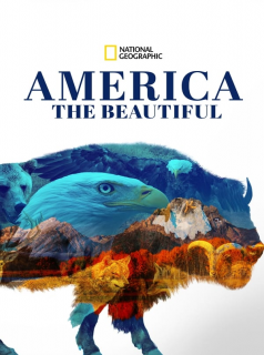 America the Beautiful streaming VF