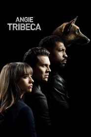 Angie Tribeca 