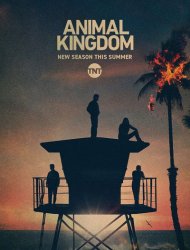 Animal Kingdom streaming VF