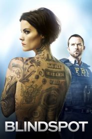 Blindspot streaming VF