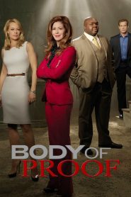 Body of Proof streaming VF