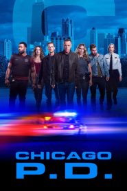 Chicago Police Department streaming VF