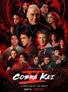 Cobra Kai 