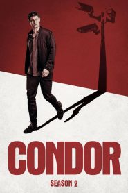 Condor 