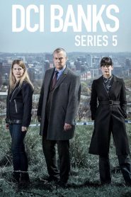 DCI Banks saison 5 poster