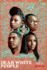 Dear White People saison 2 poster