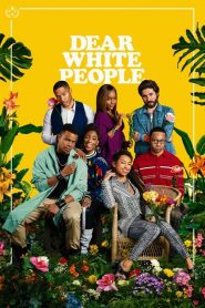 Dear White People streaming VF