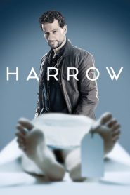 Dr Harrow