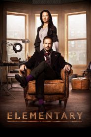 Elementary streaming VF