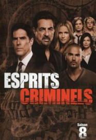 Esprits criminels saison 8 poster