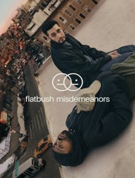 Flatbush Misdemeanors streaming VF