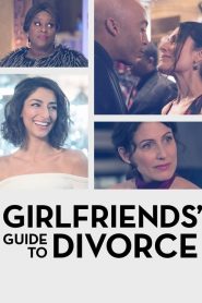 Girlfriends’ Guide to Divorce streaming VF