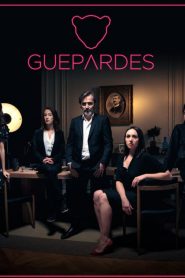 Guépardes 