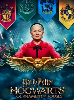 Harry Potter: Hogwarts Tournament of Houses streaming VF