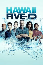 Hawaii Five-0 (2010) saison 10 poster