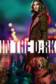 In the Dark streaming VF