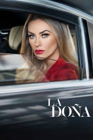 La Doña streaming VF