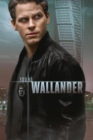 Le jeune Wallander streaming VF