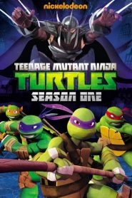 Les Tortues Ninja saison 1 poster