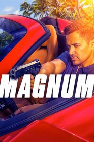 Magnum (2018) streaming VF