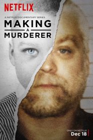 Making a Murderer streaming VF