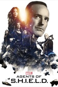 Marvel : Les Agents du S.H.I.E.L.D. streaming VF