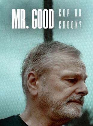 Mr. Good : Flic ou baron ? streaming VF