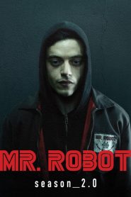 Mr. Robot 