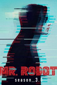 Mr. Robot 