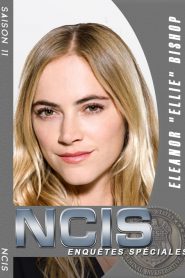 NCIS : Enquêtes Spéciales 