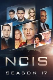 NCIS : Enquêtes Spéciales 