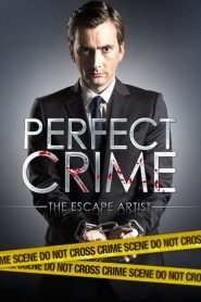 Perfect Crime streaming VF