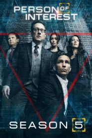 Person of Interest 