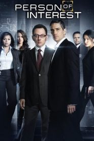 Person of Interest streaming VF