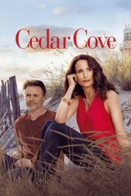 Retour à Cedar Cove streaming VF