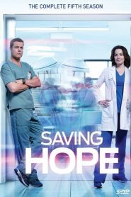 Saving Hope : au-delà de la médecine 