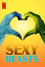 Sexy Beasts streaming VF