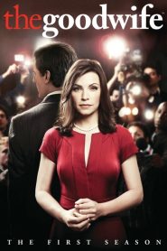 The Good Wife saison 1 poster