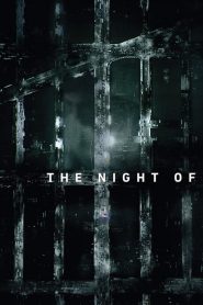 The Night Of streaming VF