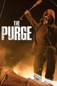 The Purge / American Nightmare streaming VF