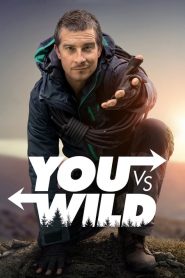 You vs. Wild 